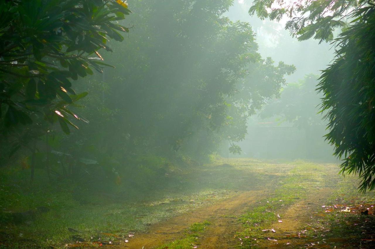 Clayfingers Art Cottage Thrissur Экстерьер фото