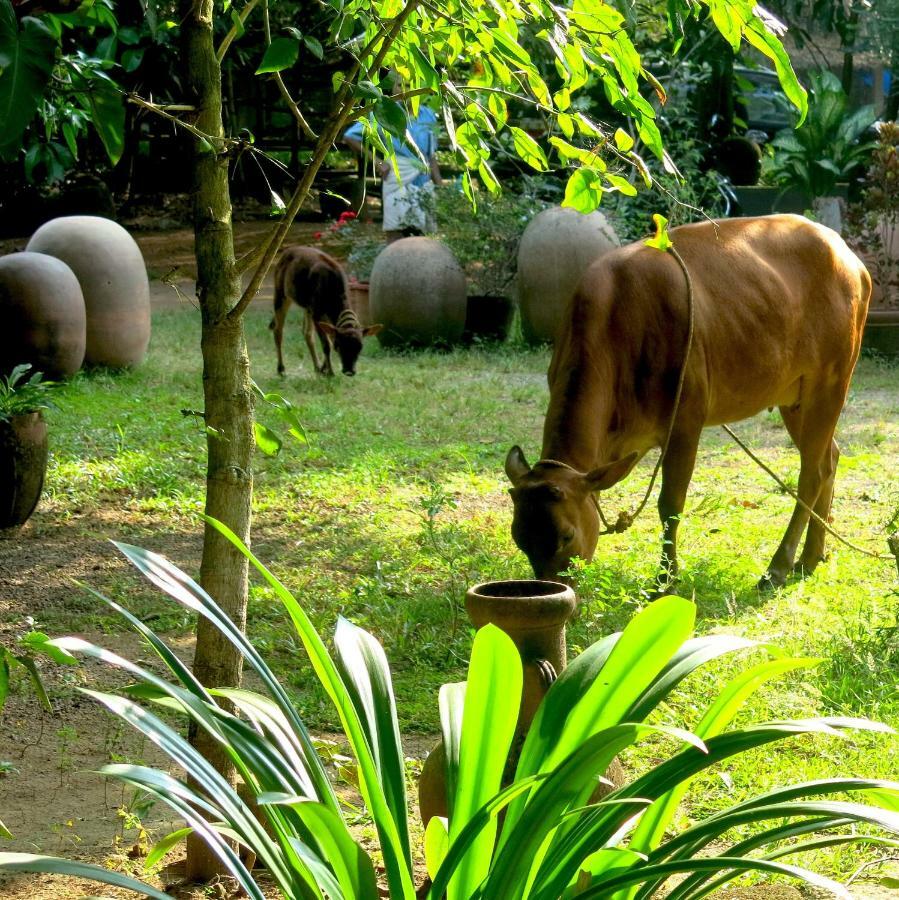 Clayfingers Art Cottage Thrissur Экстерьер фото