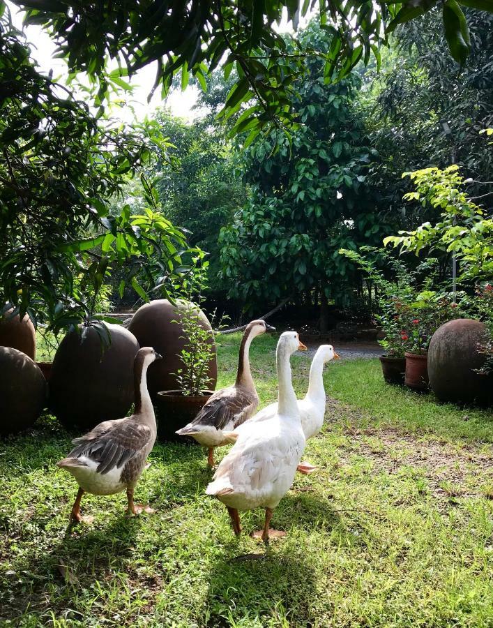 Clayfingers Art Cottage Thrissur Экстерьер фото